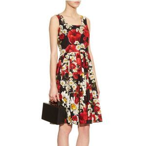 NWOT Dolce&gabbana poppy print dress Size 40